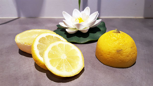 Gommage maison naturel éclat aux acides de fruit avec du citron